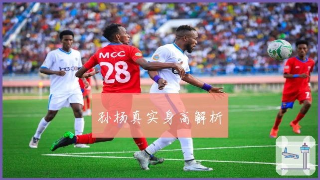 孙杨真实身高解析