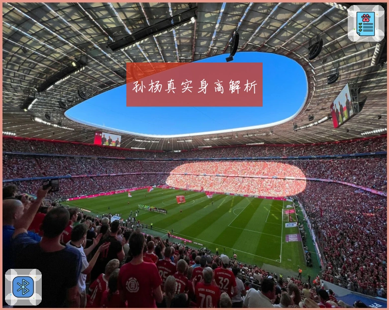 孙杨真实身高解析